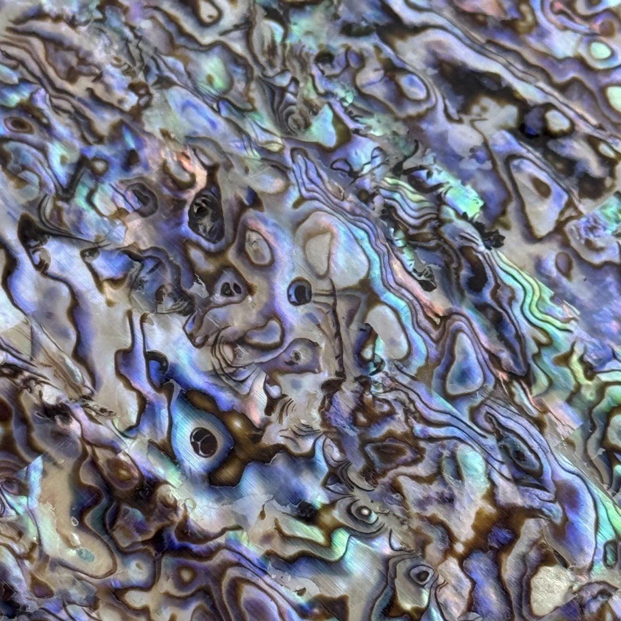 Natural Abalone Shell Inlay Sheet for Jewelry Making & Crafts