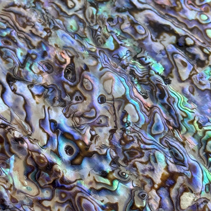 Natural Abalone Shell Inlay Sheet for Jewelry Making & Crafts