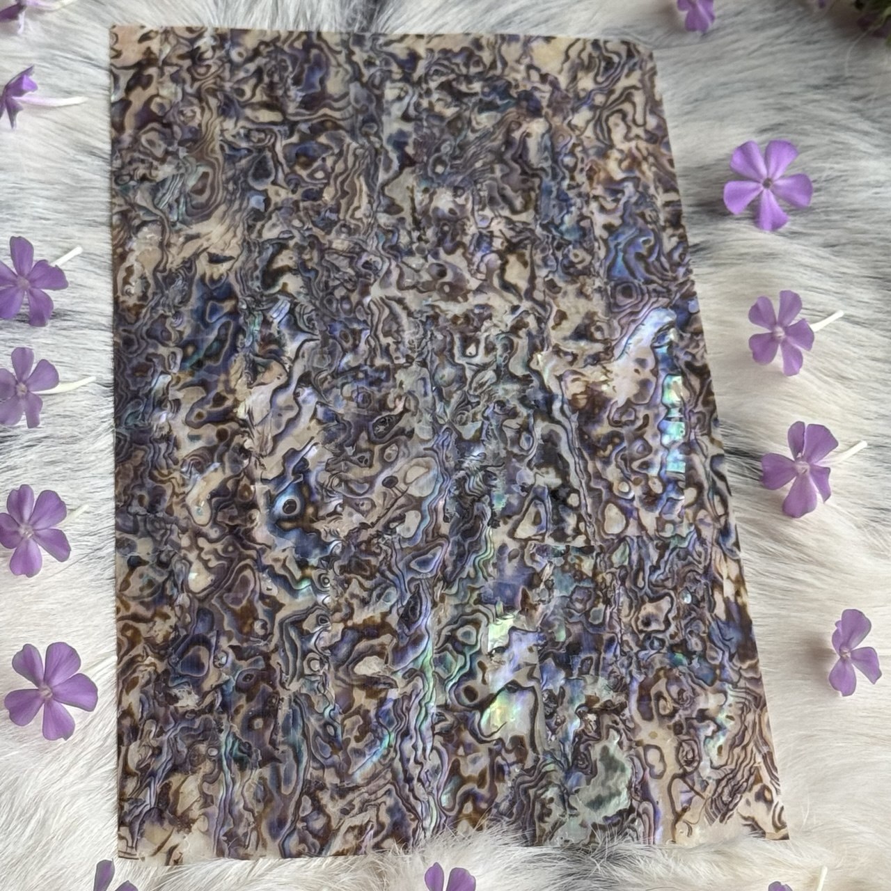 Natural Abalone Shell Inlay Sheet for Jewelry Making & Crafts
