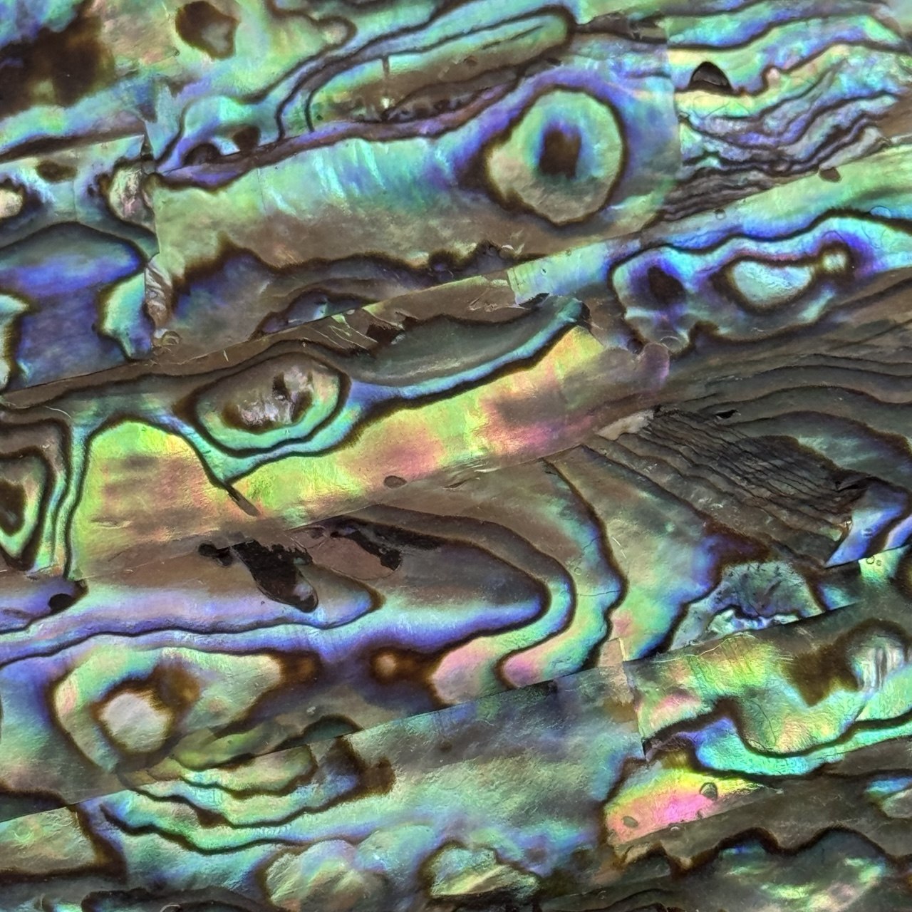 Natural Abalone Shell Inlay Sheet for Jewelry Making & Crafts