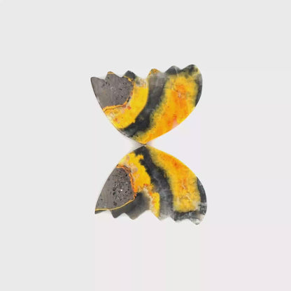 Bumblebee Jasper, Butterfly Wings