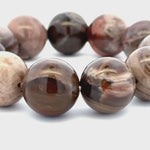 Bracelet: Petrified Wood Bracelet