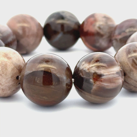 Bracelet: Petrified Wood Bracelet