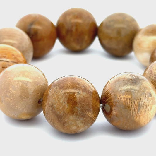 Bracelet: Fossilized Coral Bracelet