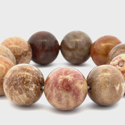 Bracelet: Fossilized Coral Bracelet